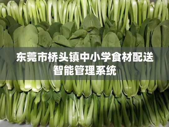 东莞市桥头镇中小学食材配送智能管理系统