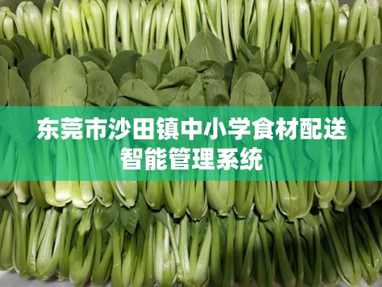 东莞市沙田镇中小学食材配送智能管理系统