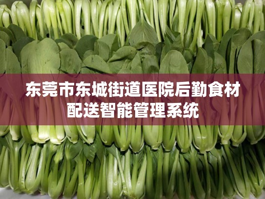 东莞市东城街道医院后勤食材配送智能管理系统