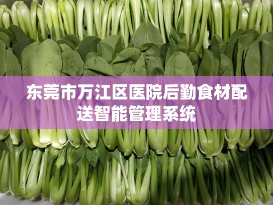 东莞市万江区医院后勤食材配送智能管理系统