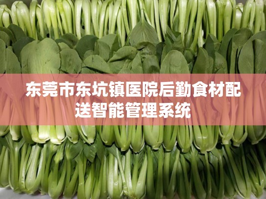 东莞市东坑镇医院后勤食材配送智能管理系统