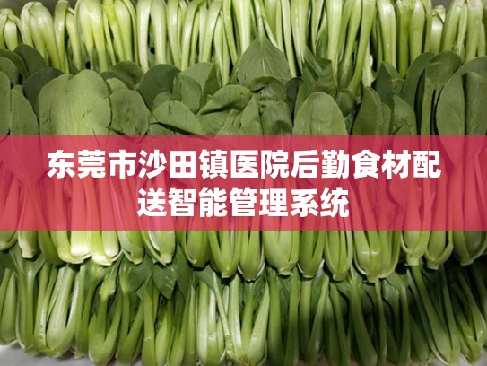 东莞市沙田镇医院后勤食材配送智能管理系统