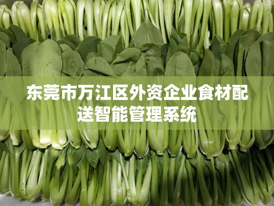 东莞市万江区外资企业食材配送智能管理系统