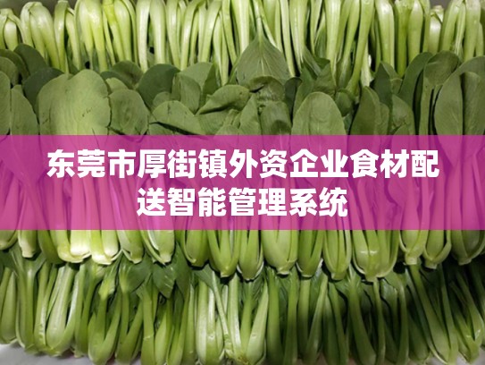 东莞市厚街镇外资企业食材配送智能管理系统