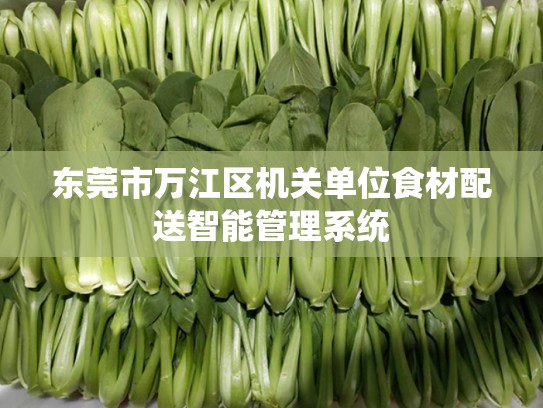 东莞市万江区机关单位食材配送智能管理系统
