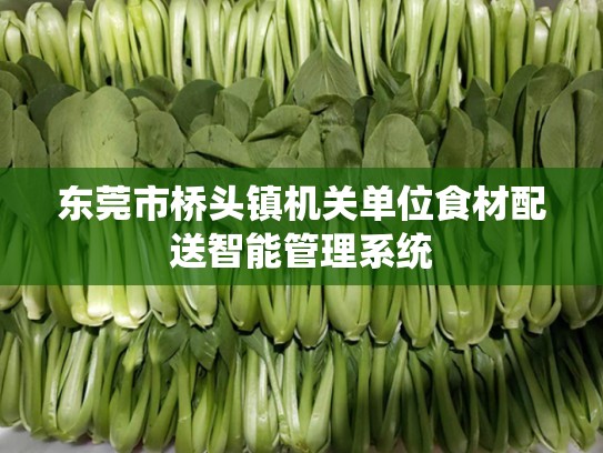 东莞市桥头镇机关单位食材配送智能管理系统