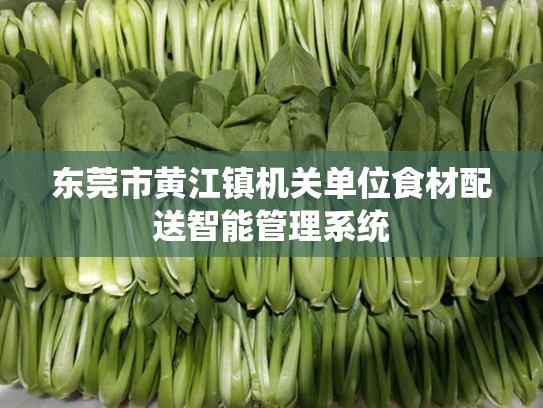 东莞市黄江镇机关单位食材配送智能管理系统