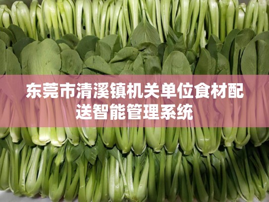东莞市清溪镇机关单位食材配送智能管理系统