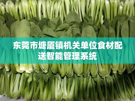 东莞市塘厦镇机关单位食材配送智能管理系统