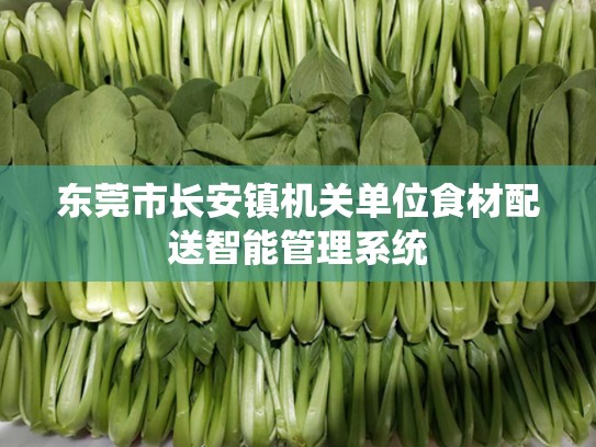 东莞市长安镇机关单位食材配送智能管理系统