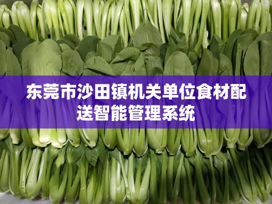 东莞市沙田镇机关单位食材配送智能管理系统