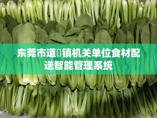 东莞市道滘镇机关单位食材配送智能管理系统