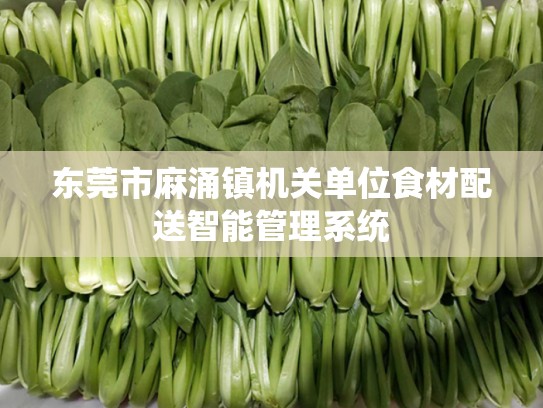 东莞市麻涌镇机关单位食材配送智能管理系统