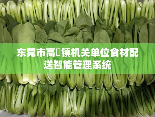 东莞市高埗镇机关单位食材配送智能管理系统