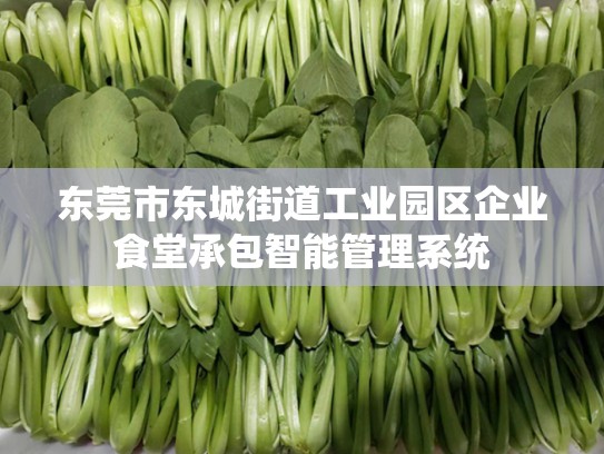 东莞市东城街道工业园区企业食堂承包智能管理系统