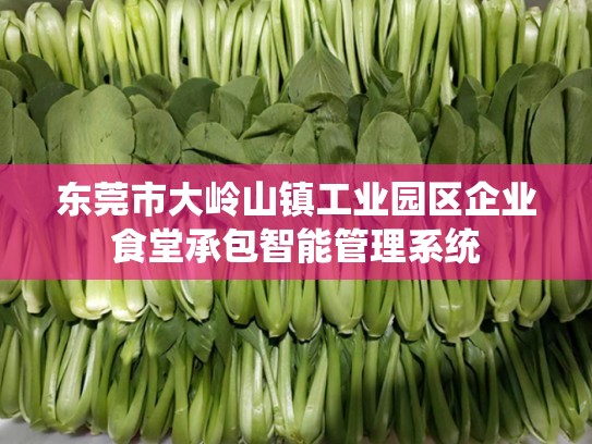 东莞市大岭山镇工业园区企业食堂承包智能管理系统