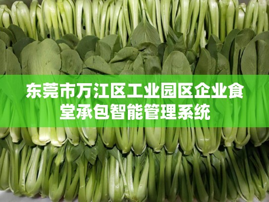 东莞市万江区工业园区企业食堂承包智能管理系统