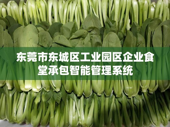 东莞市东城区工业园区企业食堂承包智能管理系统