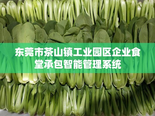东莞市茶山镇工业园区企业食堂承包智能管理系统