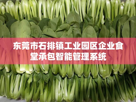 东莞市石排镇工业园区企业食堂承包智能管理系统