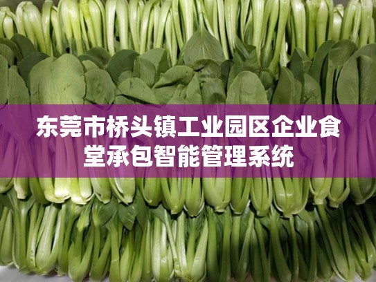 东莞市桥头镇工业园区企业食堂承包智能管理系统