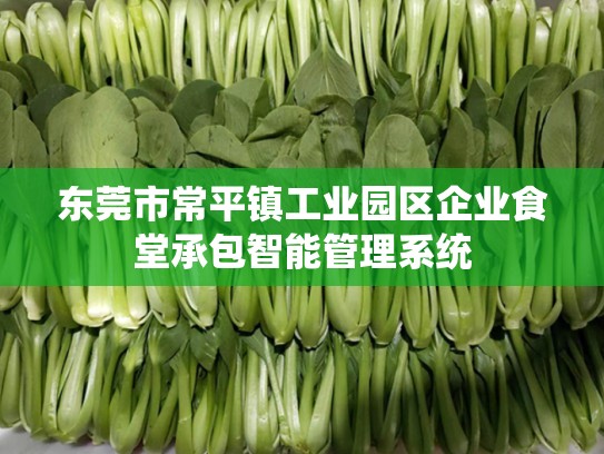东莞市常平镇工业园区企业食堂承包智能管理系统
