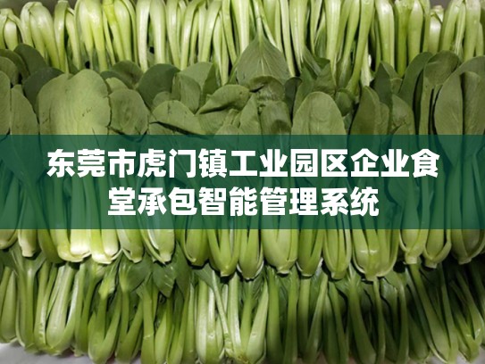 东莞市虎门镇工业园区企业食堂承包智能管理系统