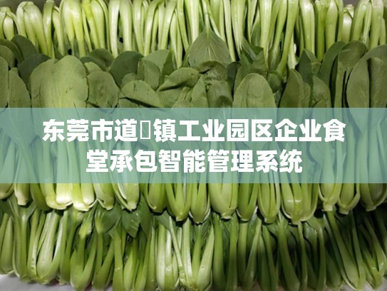 东莞市道滘镇工业园区企业食堂承包智能管理系统