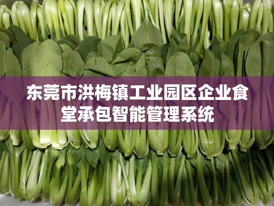 东莞市洪梅镇工业园区企业食堂承包智能管理系统