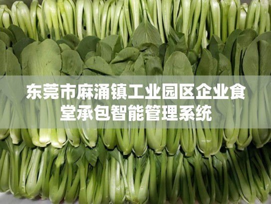 东莞市麻涌镇工业园区企业食堂承包智能管理系统