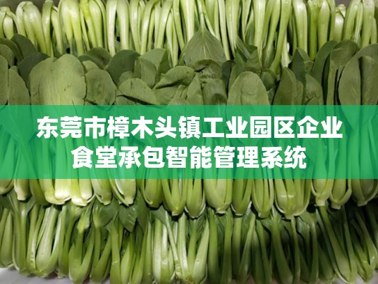 东莞市樟木头镇工业园区企业食堂承包智能管理系统