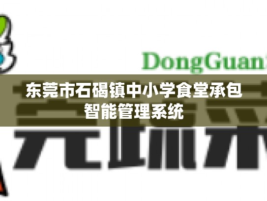 东莞市石碣镇中小学食堂承包智能管理系统