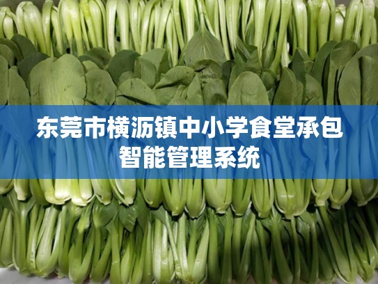 东莞市横沥镇中小学食堂承包智能管理系统