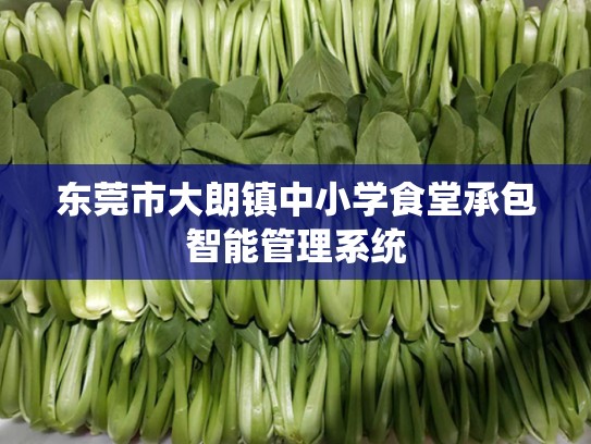 东莞市大朗镇中小学食堂承包智能管理系统