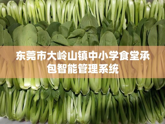 东莞市大岭山镇中小学食堂承包智能管理系统
