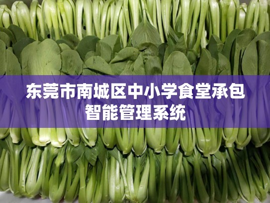 东莞市南城区中小学食堂承包智能管理系统