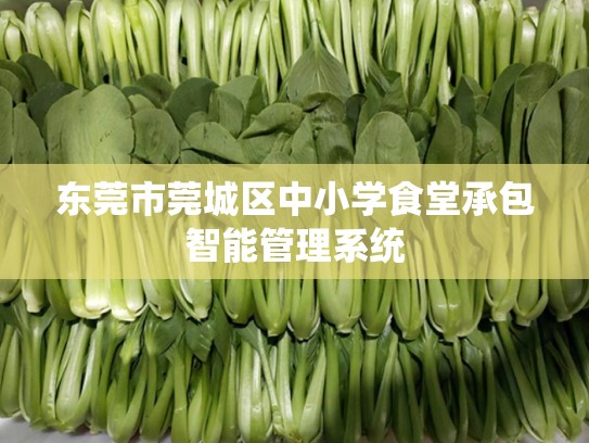 东莞市莞城区中小学食堂承包智能管理系统