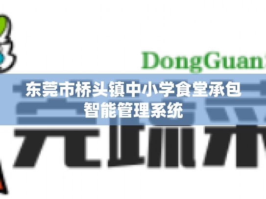 东莞市桥头镇中小学食堂承包智能管理系统