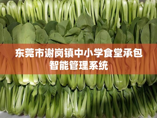 东莞市谢岗镇中小学食堂承包智能管理系统