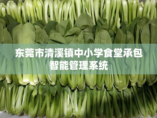 东莞市清溪镇中小学食堂承包智能管理系统