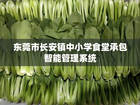 东莞市长安镇中小学食堂承包智能管理系统