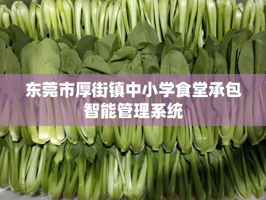 东莞市厚街镇中小学食堂承包智能管理系统