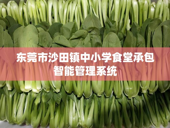 东莞市沙田镇中小学食堂承包智能管理系统