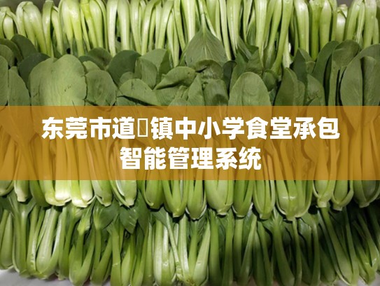 东莞市道滘镇中小学食堂承包智能管理系统