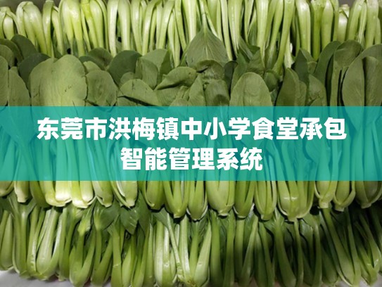 东莞市洪梅镇中小学食堂承包智能管理系统