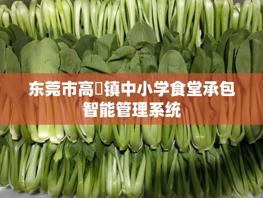 东莞市高埗镇中小学食堂承包智能管理系统