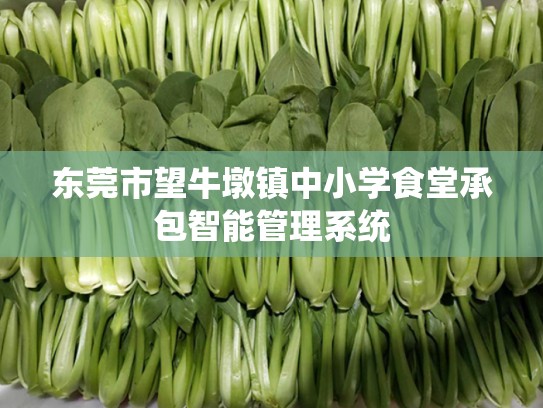 东莞市望牛墩镇中小学食堂承包智能管理系统