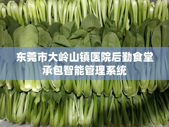 东莞市大岭山镇医院后勤食堂承包智能管理系统