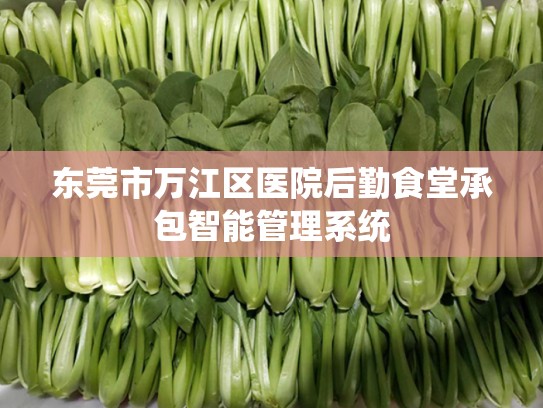 东莞市万江区医院后勤食堂承包智能管理系统