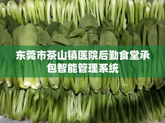 东莞市茶山镇医院后勤食堂承包智能管理系统